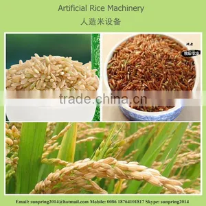 Artificial Rice Machine,Artificial Rice Machinary/Processing Line/plant With CE thumbnail-6