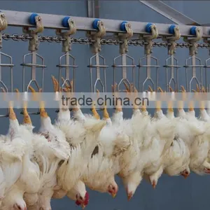 Chicken Abattoir House Slaughter Equipment 008618052092685 thumbnail-2