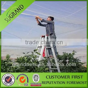 HDPE White Agriculture Anti Insect Net (50g/m2,1.5mm*1.5mm) thumbnail-1