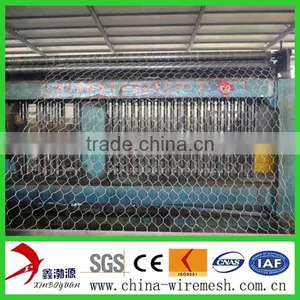 Hexagonal Wire Mesh/chicken Wire Mesh for Cultivation thumbnail-4