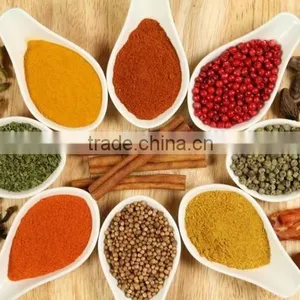 High Quality Low Price CSJ Series Coarse Pulverizer for Leaf and Herb thumbnail-2