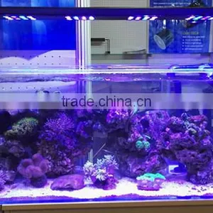 Lumini 48pcs 5w High Power 180w Coral Reef Used Led Aquarium Light thumbnail-3