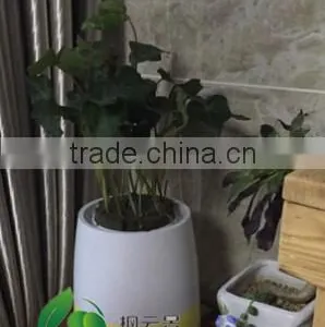 Smart Home Automation System Air Purifier for Home With Oxygen Generator thumbnail-2