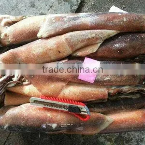 Frozen Whole and Round Illex Squid 150-200 thumbnail-1