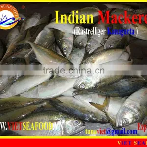 FROZEN INDIAN MACKEREL thumbnail-1