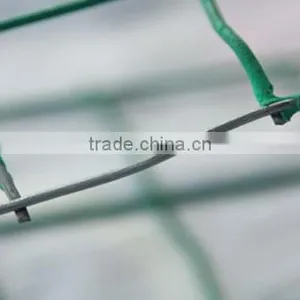China Supplier Welded Wire Mesh thumbnail-2