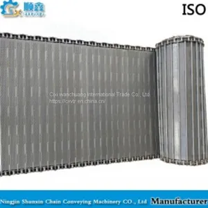 Quick-Freezing Machine Chain Plate thumbnail-1