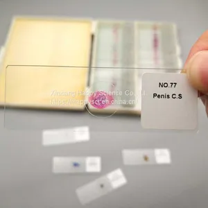 Lab and Medical Pathology Histology Microscope Slides thumbnail-3