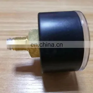 Temperature Mini Pressure Gauge PAGN-40-1M-G18 8001503 -20~60 Degree Work thumbnail-4
