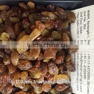 DRIED GRAPES thumbnail-1