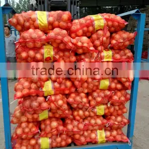 Wholesale Yellow Onion Packing In Mesh Bag At A Competitive Market Price thumbnail-5
