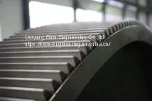 GEAR BEARING SWING 1124068 thumbnail-1