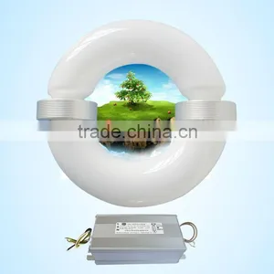 Eco Friendly Super Long Life Lamp 150W 100-300V Electrodeless Induction Lamp thumbnail-1