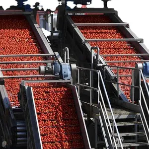 Concentrated Ketchup Production Line Small Tomato Paste Making Machine thumbnail-4