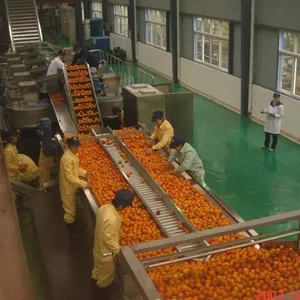 Shanghai Factory Small Tomato Pulping Evaporation Plant Machine Equipment Tomato Paste Sauce Ketchup Fruit Jam Production Line thumbnail-2