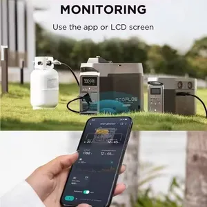 Generator Cerdas EcoFlow Berkapasitas Tinggi 220V Dual Fuel, Tenaga Gas Cair Dan Panel Surya, Cadangan Daya Darurat Dengan Remote thumbnail-4