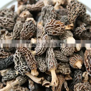 Price of Black Morel Mushroom thumbnail-3
