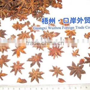 2-9 Spring Flower Star Aniseed thumbnail-1