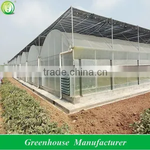 Pep Film Double Layer Inflatable Greenhouse thumbnail-1