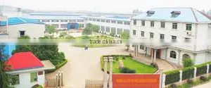 Maanshan LVD CNC Machine Tool Co., Ltd. company overview - view 3 thumbnail