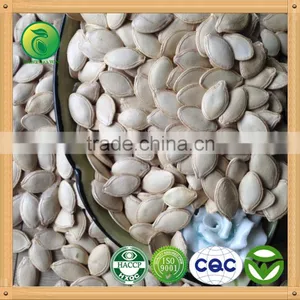 High Quality Wholesale Shine Skin Pumpkin Seeds thumbnail-1