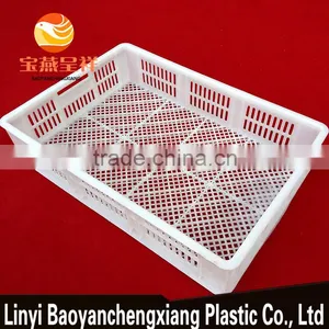 605x420x130mm Plastic Moving Crate Sale for Turnover Chick Duckling Transportation thumbnail-2