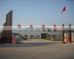 Shandong Chengming Construction Machinery Co., Ltd. company overview - view 1 thumbnail