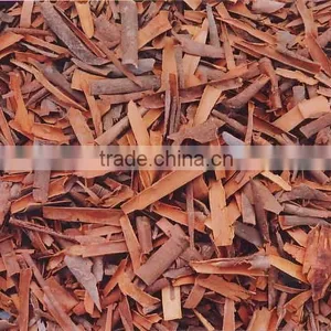 Vietnam Broken Cassia, Good Quality and Cheap Price thumbnail-1