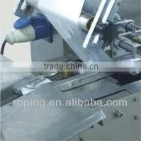 High-speed Automatic Pillow Packing Machine(PW-300B) thumbnail-3