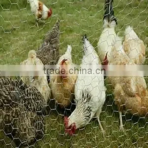 Lowes Chicken Wire Mesh Roll thumbnail-1