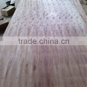 VIETNAM SHORT GRAIN CORE VENEER thumbnail-1
