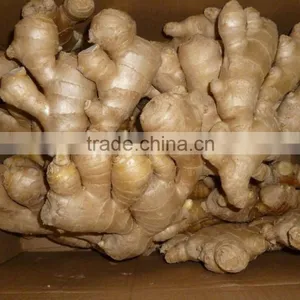 AIR DRIED GINGER 150G UP thumbnail-1