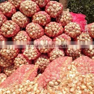 ONION SIZES ( 40 - 60 - 50 - 70 - 60 - 80 - up to 100 mm ) thumbnail-1