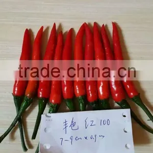 Hybrid F1 Red Hot Pepper Seeds Chili Seeds For Sale-Brightness Red 100 thumbnail-3