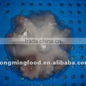 Cleaned Octopus Frozen thumbnail-1