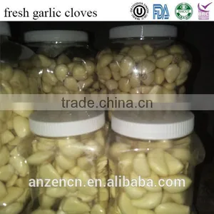 Premium Fresh Garlic Cloves From Jinxiang thumbnail-2