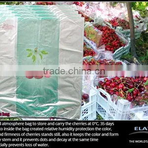Pineapple Bag thumbnail-6