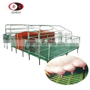 Pig Farm in India BMC Material Pig Farrowing Pens Used Farrowing Crates thumbnail-1