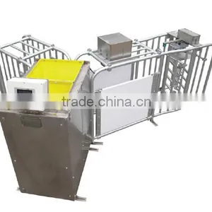 Automatic Feeding System thumbnail-1
