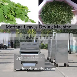 Moringa Leaves Drying Sterilizing Machine thumbnail-1