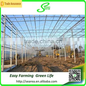 Mult Span Commerical Glass Greenhouse for Sale thumbnail-4