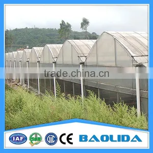 Multi-span Tunnelgreenhouse for Fruit thumbnail-4