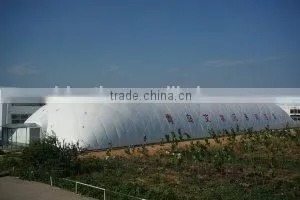 2016 Hot Sale Large Inflatable Membrane Architecture thumbnail-5