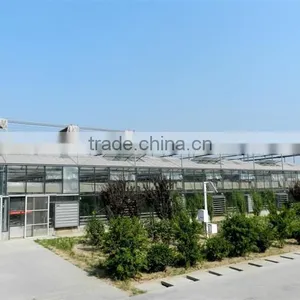 Glass in Greenhouse for Sale thumbnail-1