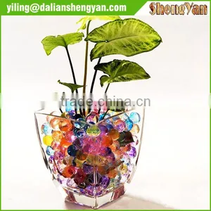 Hot Sale Indoor Planter Hydrogel Crystal Soil thumbnail-1