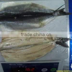 Seafood Frozen Fresh Herring Fillet thumbnail-1