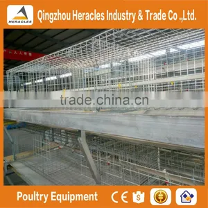 Heracles Factory Price Poultry Farming Equipment H Type Chicken Layer Cage for Sale thumbnail-6