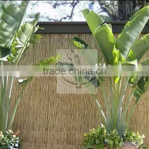 Reed Fence thumbnail-2