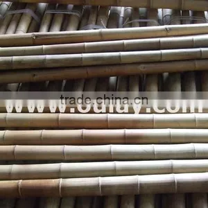 Big Bamboo Poles WHOLESALE thumbnail-1
