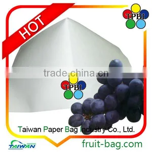 Waterproof Grape Bagging Grape Protection Bag Fruit Protection Bag thumbnail-2